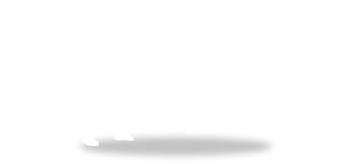 The Strength Source
