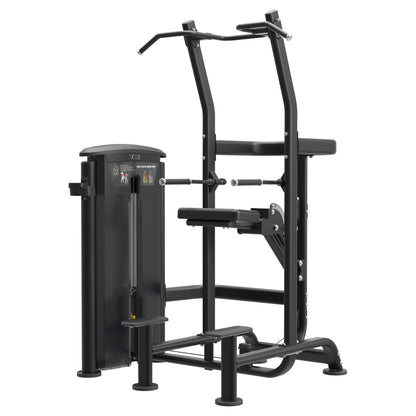 TAG Fitness Elite Chin / Dip Assist